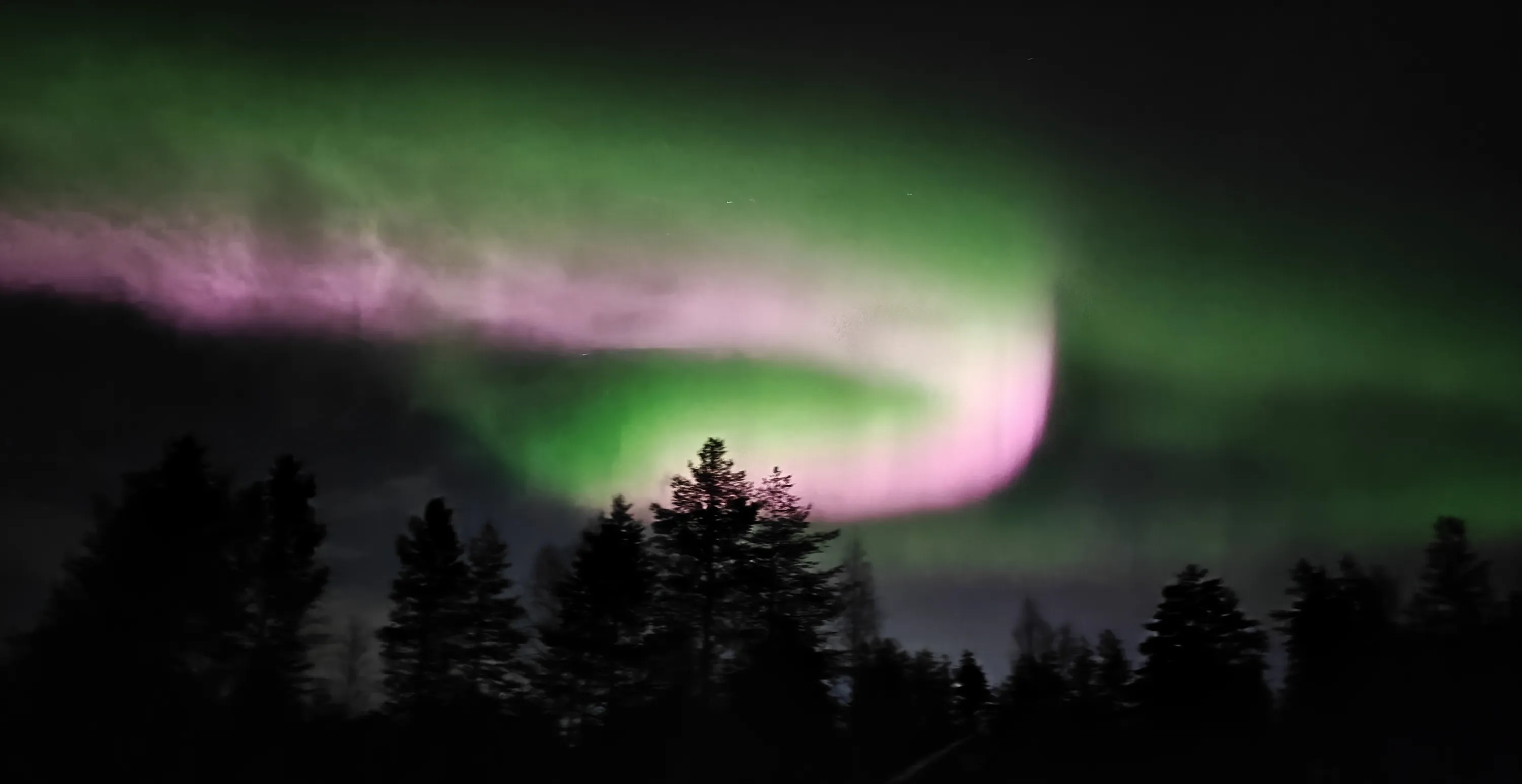 Vihreät ja vaaleanpunaiset revontulet tanssivat tumman metsämaiseman yllä Lapin yötaivaalla.